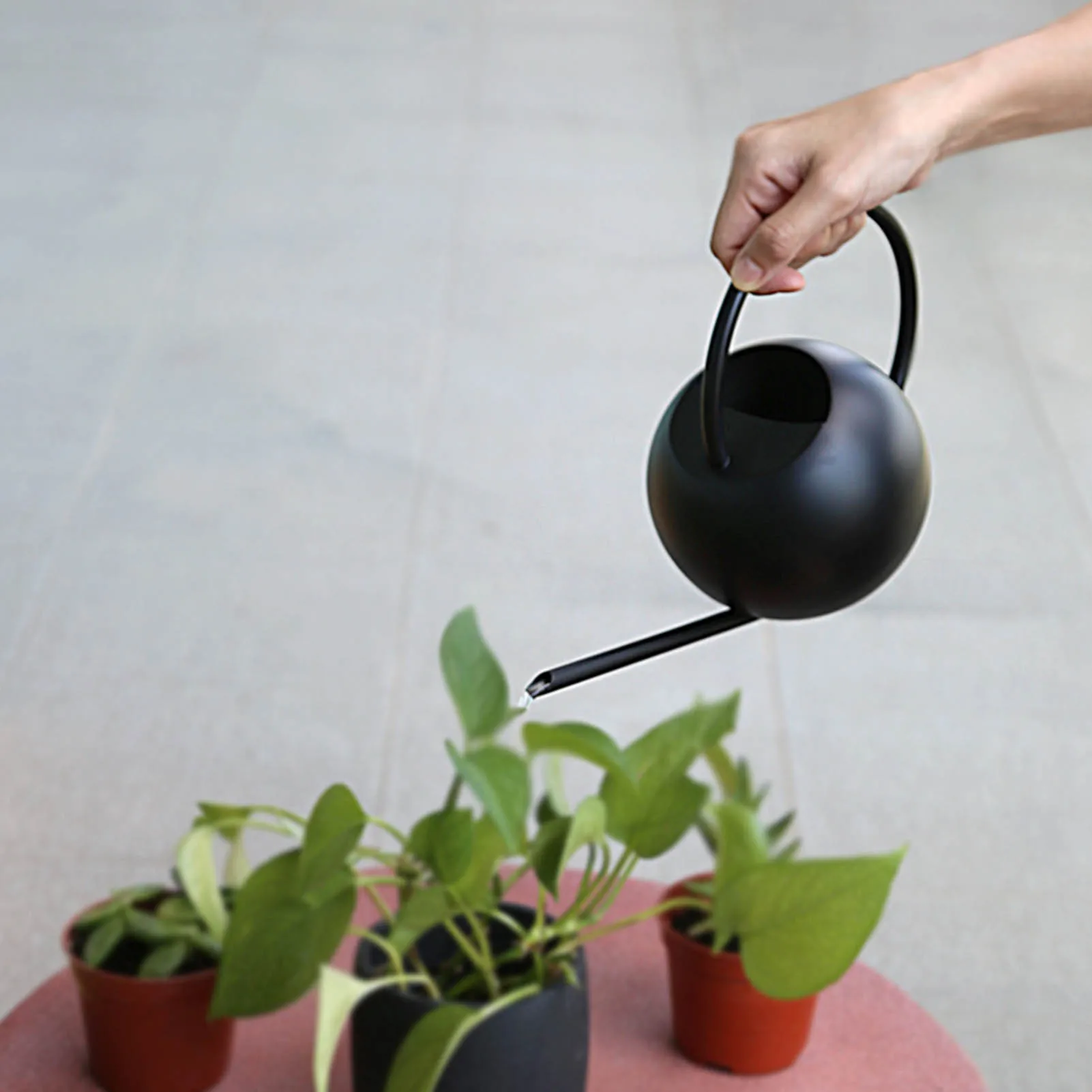 Watering Can Matte Black Color Stainless Steel Pot Long Spout Indoors Home Plant Pot Bottle Watering Meaty Garden Tool
Watering Can Matte Black Color Stainless Steel Pot Long Spout Indoors Home Plant Pot Bottle Watering Meaty Garden Tool