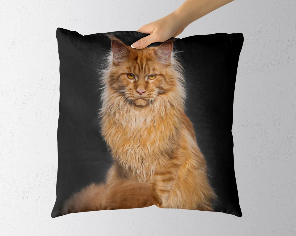 Various sizes Pillowslip Cute style Sofa Bed Home Animal pattern Decorative Pillowcases
Various sizes Pillowslip Cute style Sofa Bed Home Animal pattern Decorative Pillowcases