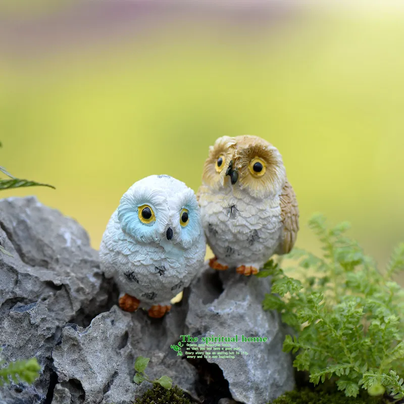 Chic Garden Owl Moss Terrarium Desktop Decor Crafts Bonsai Animals Miniature Diy living room decoration
Chic Garden Owl Moss Terrarium Desktop Decor Crafts Bonsai Animals Miniature Diy living room decoration