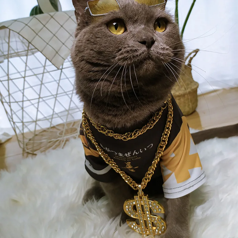 Kimetsu No Yaiba Tanjirou костюм кошки, демон, убийца, одежда, летняя футболка, агатсума, зенитцу, косплей, рубашка для кошки, животных
Kimetsu No Yaiba Tanjirou костюм кошки, демон, убийца, одежда, летняя футболка, агатсума, зенитцу, косплей, рубашка для кошки, животных