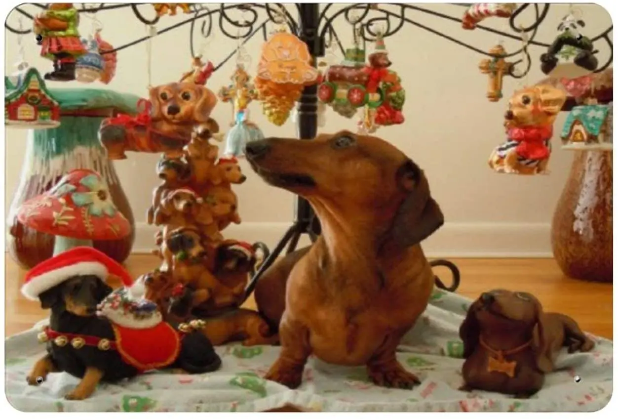 BISHEN Cafe Tin Sign Retro Coffee Metal Sign Christmas Dachshund Version Metal Tin Sign for Home Garage Club Bar Farm or Store
BISHEN Cafe Tin Sign Retro Coffee Metal Sign Christmas Dachshund Version Metal Tin Sign for Home Garage Club Bar Farm or Store