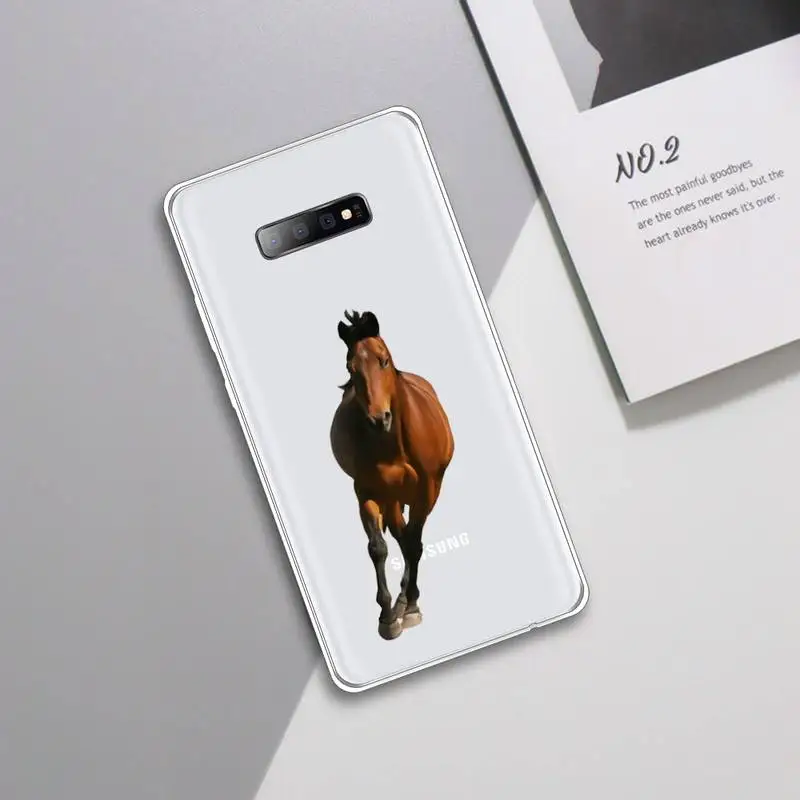 Frederik The Great beauty horse Phone Case Transparent For Samsung Galaxy A 71 21s S note 8 9 10 plus 20 ultra 
Frederik The Great beauty horse Phone Case Transparent For Samsung Galaxy A 71 21s S note 8 9 10 plus 20 ultra