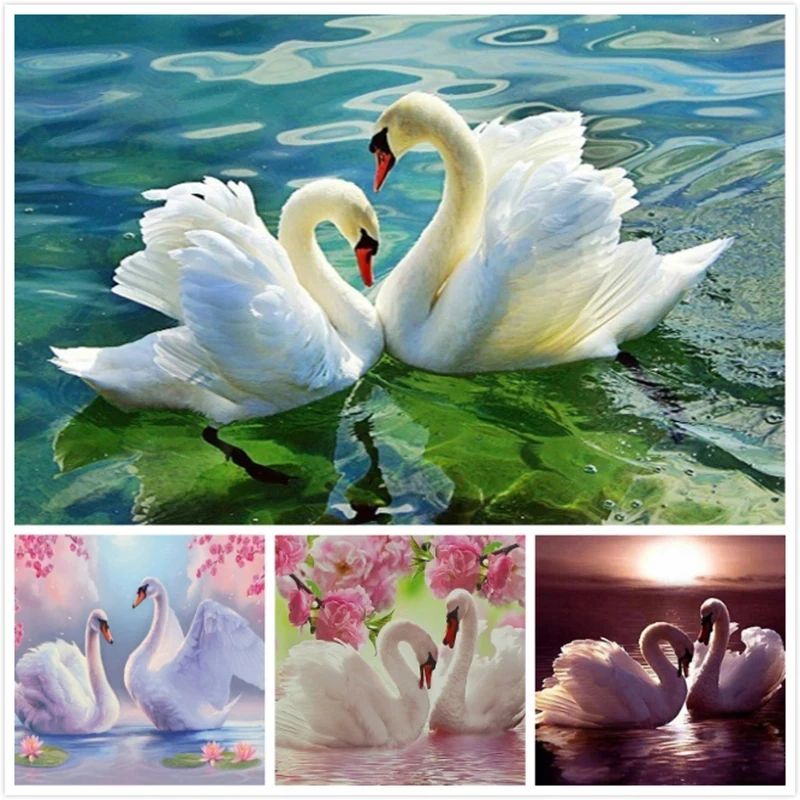 Diamond Embroidery Swan Painting of Rhinestones Diamond Mosaic Animals Full Square Drill Wall Decoration Art Canvas Pictures
Diamond Embroidery Swan Painting of Rhinestones Diamond Mosaic Animals Full Square Drill Wall Decoration Art Canvas Pictures