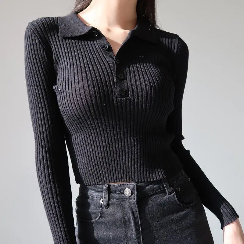 Lapel Female Shirt Pullover Button Slim Long-Sleeved Women Spring Autumn Polo Collar Stretch Bottoming Shirt Top
Lapel Female Shirt Pullover Button Slim Long-Sleeved Women Spring Autumn Polo Collar Stretch Bottoming Shirt Top