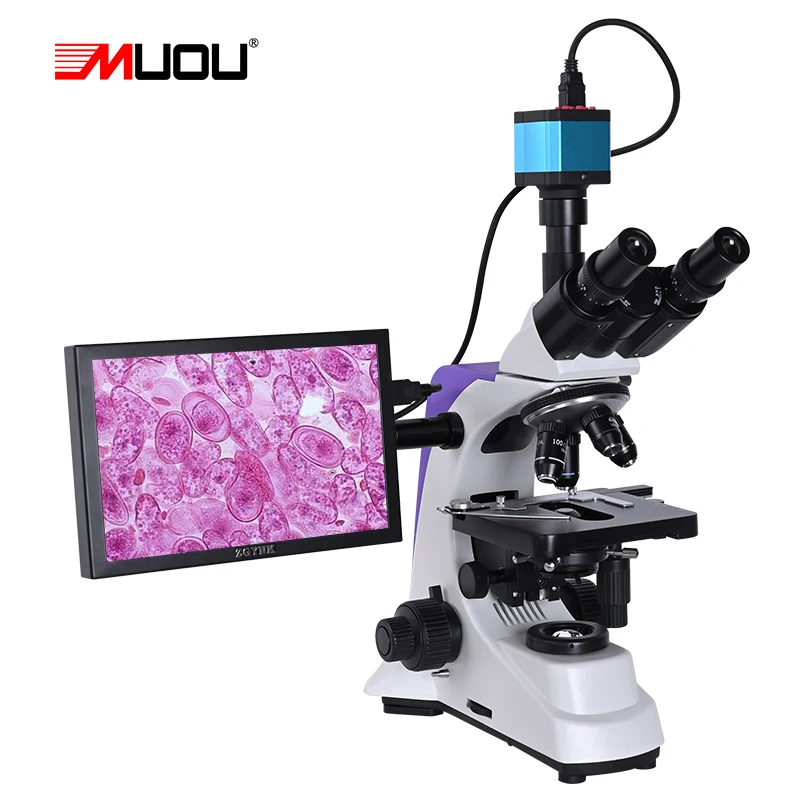 Professional Lab biological HD trinocular microscope zoom 2500X + 1600X electronic digital Camera USB HDMI VAG + 10-inch LCD led
Professional Lab biological HD trinocular microscope zoom 2500X + 1600X electronic digital Camera USB HDMI VAG + 10-inch LCD led
