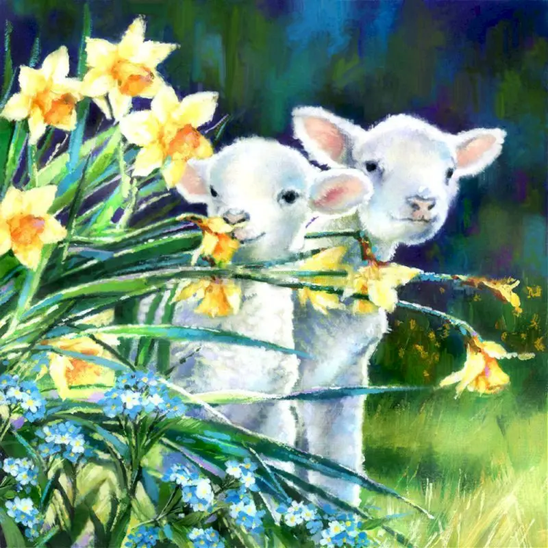 Gatyztory 60x75cm Frame DIY Painting By Numbers Handpainted Lamb Oil Painting Canvas Colouring Wall Decor
Gatyztory 60x75cm Frame DIY Painting By Numbers Handpainted Lamb Oil Painting Canvas Colouring Wall Decor