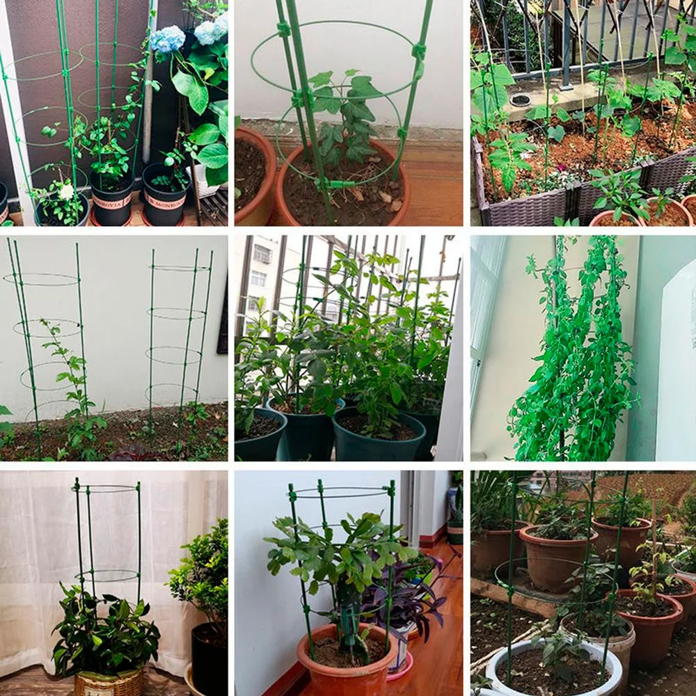 Plant Climbing Frame Durable Climbing Cane Frame Plastic Coated Steel Potted Plant Support Frame Flower Vegetable Trellis Frame
Plant Climbing Frame Durable Climbing Cane Frame Plastic Coated Steel Potted Plant Support Frame Flower Vegetable Trellis Frame