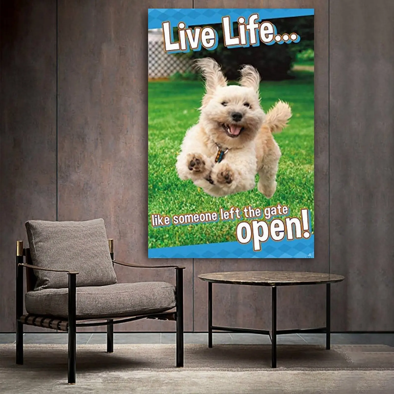 Avanti - Dog Joy Canvas Art Poster and Wall Art Picture Print Modern Family bedroom Decor Posters
Avanti - Dog Joy Canvas Art Poster and Wall Art Picture Print Modern Family bedroom Decor Posters