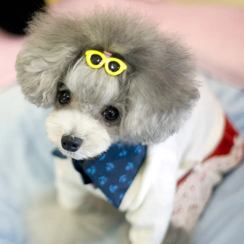 Pet Sunglasses Hairpins Pet Dog Bows Hair Clips For Puppy Dogs Cat Teddy Pet Hair Decor Sunglasses Photos Props Accessories
Pet Sunglasses Hairpins Pet Dog Bows Hair Clips For Puppy Dogs Cat Teddy Pet Hair Decor Sunglasses Photos Props Accessories