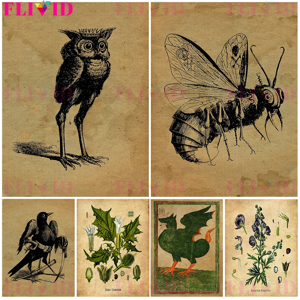 Vintage Birds Plant Religion Datura Wall Art Canvas Painting Nordic Poster Wall Pictures For Living Room Home Decor Unframed
Vintage Birds Plant Religion Datura Wall Art Canvas Painting Nordic Poster Wall Pictures For Living Room Home Decor Unframed