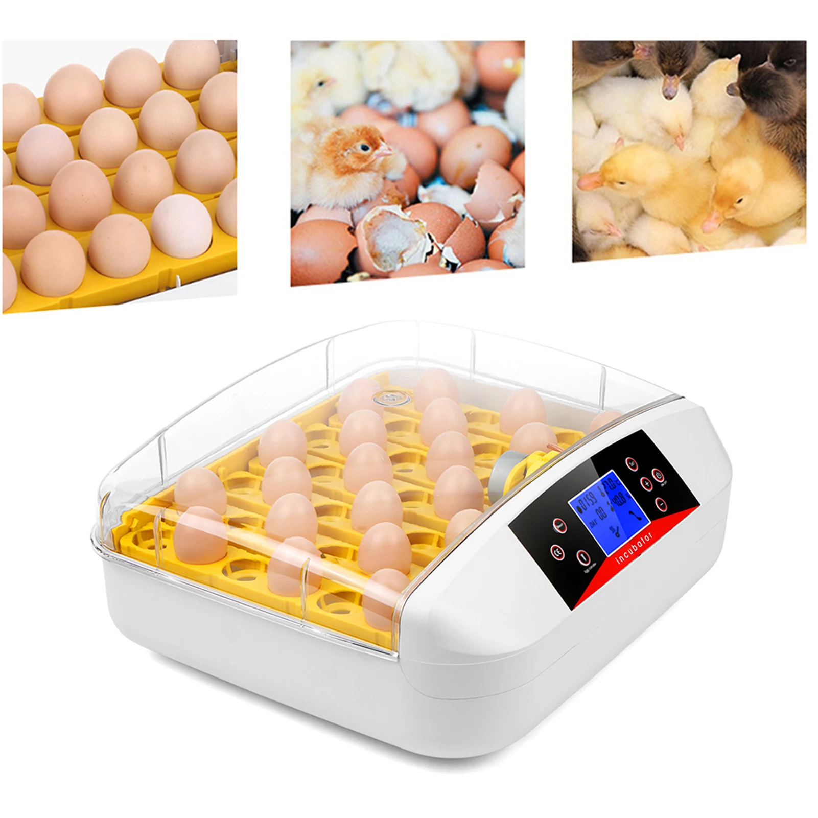 Цифровой инкубатор для яиц, Машинка для вылупки курицы, Уточки, перепелок, подсвечник, автоматический инкубатор для птиц
Цифровой инкубатор для яиц, Машинка для вылупки курицы, Уточки, перепелок, подсвечник, автоматический инкубатор для птиц
