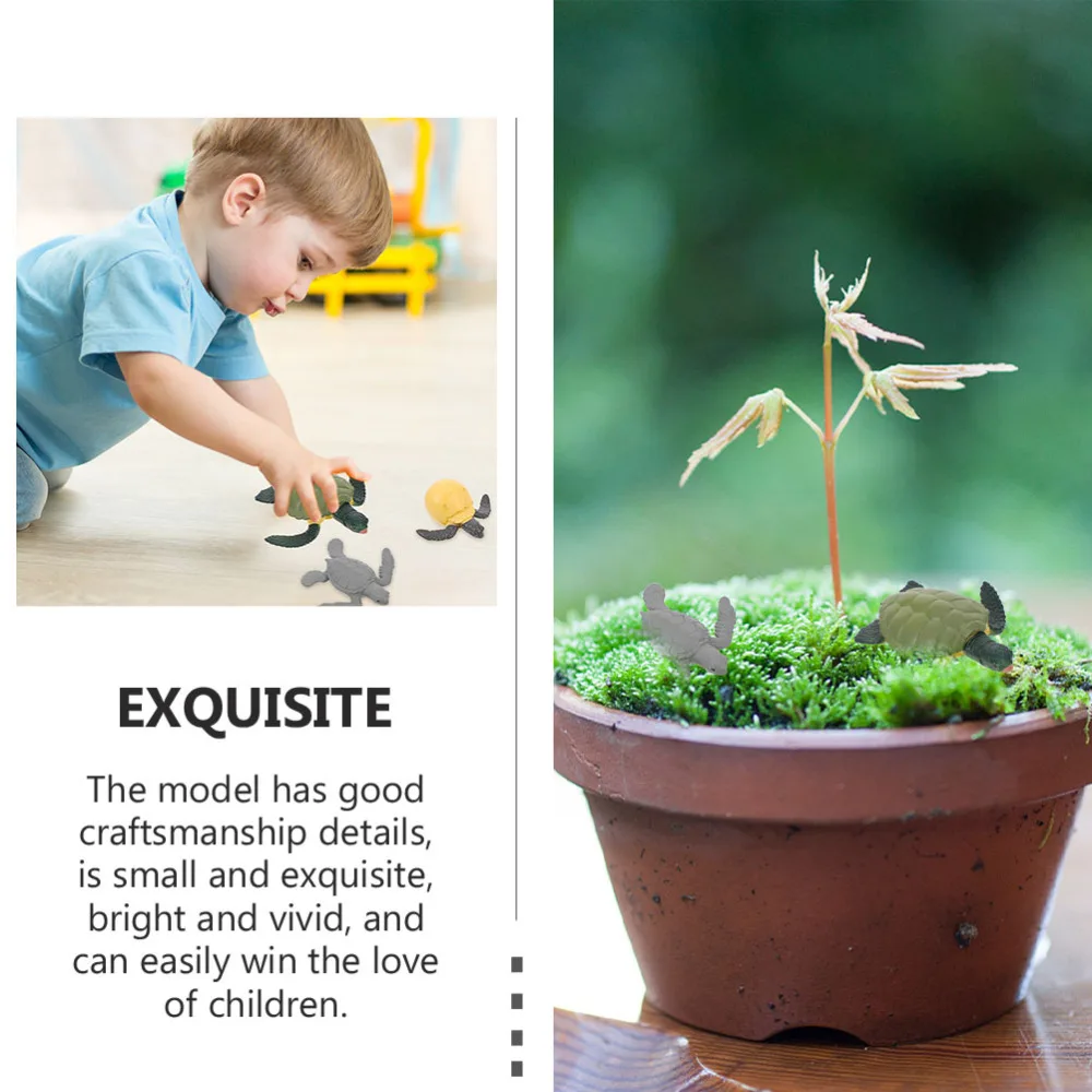 2 Sets Reptile Animals Figures Life Cycle Models of Snail and Tortoise for Kids
2 Sets Reptile Animals Figures Life Cycle Models of Snail and Tortoise for Kids