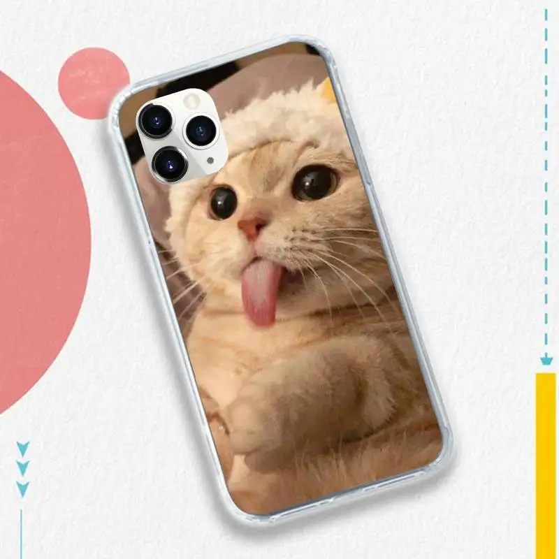cat animal high quality painting Phone Case for iPhone 11 12 pro XS MAX 8 7 6 6S Plus X 5S SE 2020 XR
cat animal high quality painting Phone Case for iPhone 11 12 pro XS MAX 8 7 6 6S Plus X 5S SE 2020 XR