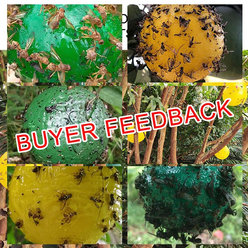 2pcs Hanging Fly Trap Ball Fruit Fly Catcher Sticky Trap Fly Outdoor Disposable Wasp Bee Yellow Jacket Yellowjacket
2pcs Hanging Fly Trap Ball Fruit Fly Catcher Sticky Trap Fly Outdoor Disposable Wasp Bee Yellow Jacket Yellowjacket