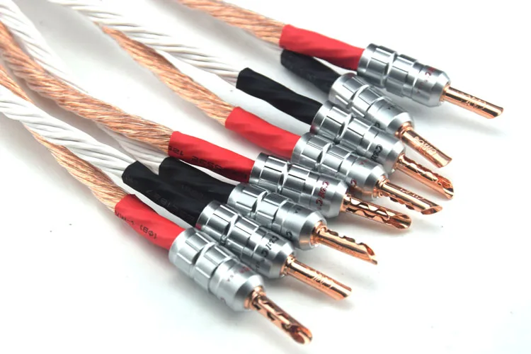 1 Pair 12TC Hifi Speaker Cable High Quality Pure OCC Speaker Wire With Banana Jack
1 Pair 12TC Hifi Speaker Cable High Quality Pure OCC Speaker Wire With Banana Jack