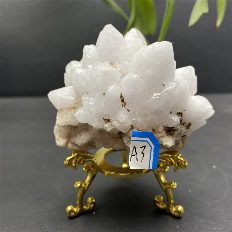 Rare Naturally Formed Crystal Flower Raw Stone Mineral Specimen Wedding Home Decoration Gift + Metal Holder
Rare Naturally Formed Crystal Flower Raw Stone Mineral Specimen Wedding Home Decoration Gift + Metal Holder