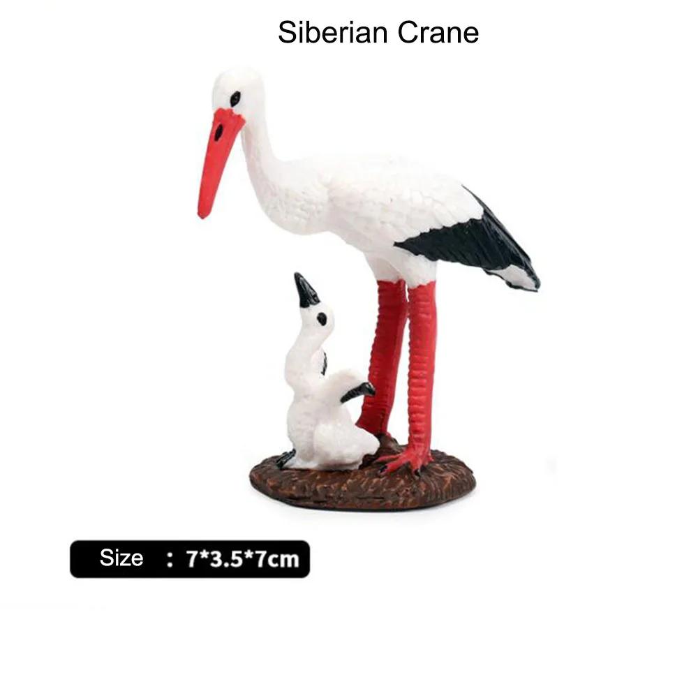 Children's Cognitive Toys Simulation Wild Animal Model Birds Crane Model Ornaments Science Educational Toys Kids Gift Dolls
Children's Cognitive Toys Simulation Wild Animal Model Birds Crane Model Ornaments Science Educational Toys Kids Gift Dolls