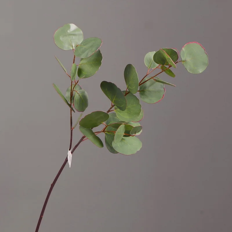 Home decoration simulation plant wholesale simulation green leaves eucalyptus leaf
Home decoration simulation plant wholesale simulation green leaves eucalyptus leaf