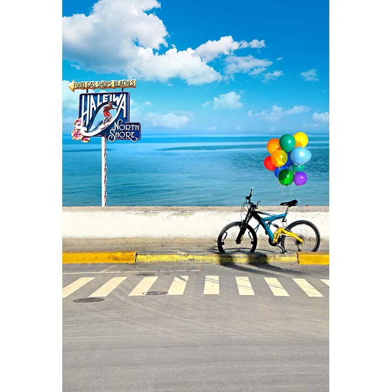 Фон для фотосъемки с изображением летнего синего моря неба воздушных шаров