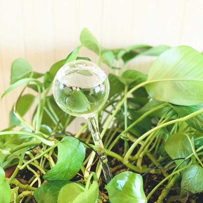 Plant Waterer Self Watering Bulbs Hand Blown Clear Glass Plant Watering Tube for Indoor Outdoor Plants Pots
Plant Waterer Self Watering Bulbs Hand Blown Clear Glass Plant Watering Tube for Indoor Outdoor Plants Pots