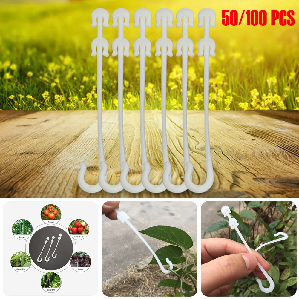 100pcs Cherry Tomato Ear Hook Garden Flower Vegetable Plant Support Tomato Clips Trellis for Garden Plant Flower tomato support
100pcs Cherry Tomato Ear Hook Garden Flower Vegetable Plant Support Tomato Clips Trellis for Garden Plant Flower tomato support