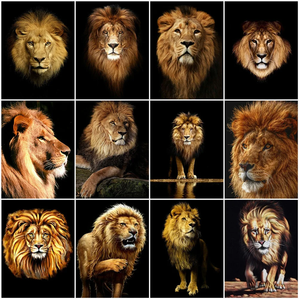 HUACAN 5D DIY Diamond Painting Cross Stitch Lion Full Square Diamond Embroidery Animal Mosaic Rhinestone Home Decoration
HUACAN 5D DIY Diamond Painting Cross Stitch Lion Full Square Diamond Embroidery Animal Mosaic Rhinestone Home Decoration