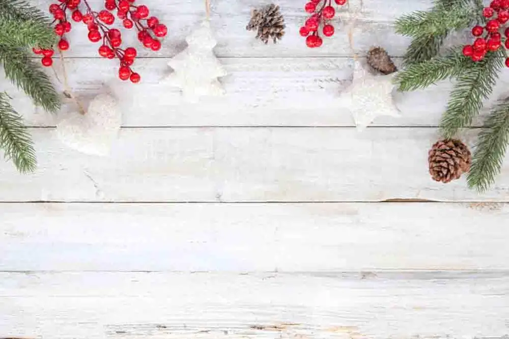 Vinyl Custom Photography Prop Christmas day theme Photo Studio Background S19907-8122
Vinyl Custom Photography Prop Christmas day theme Photo Studio Background S19907-8122