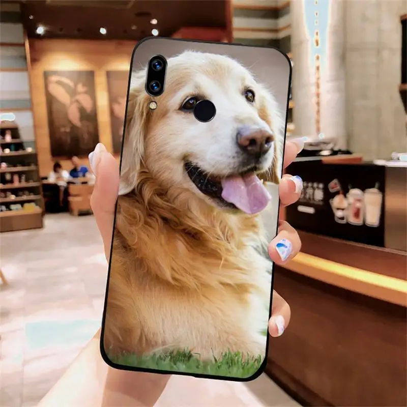 Golden retriever cute smile face dog luxury protective Phone Case shell For Xiaomi Redmi note 7 8 9 t k30 max3 9 s 10 pro lite
Golden retriever cute smile face dog luxury protective Phone Case shell For Xiaomi Redmi note 7 8 9 t k30 max3 9 s 10 pro lite