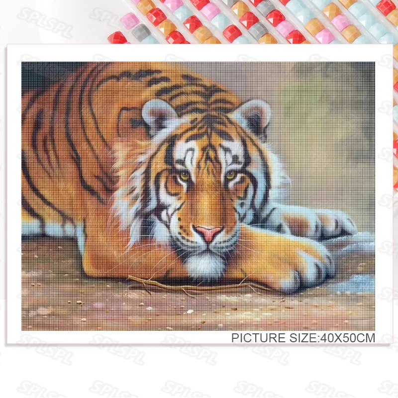 Diy Diamond Painting Wild Protected Animals Carnivore Big Tiger Siberian Tiger Tiger In The Forest In a Mountain Poster
Diy Diamond Painting Wild Protected Animals Carnivore Big Tiger Siberian Tiger Tiger In The Forest In a Mountain Poster