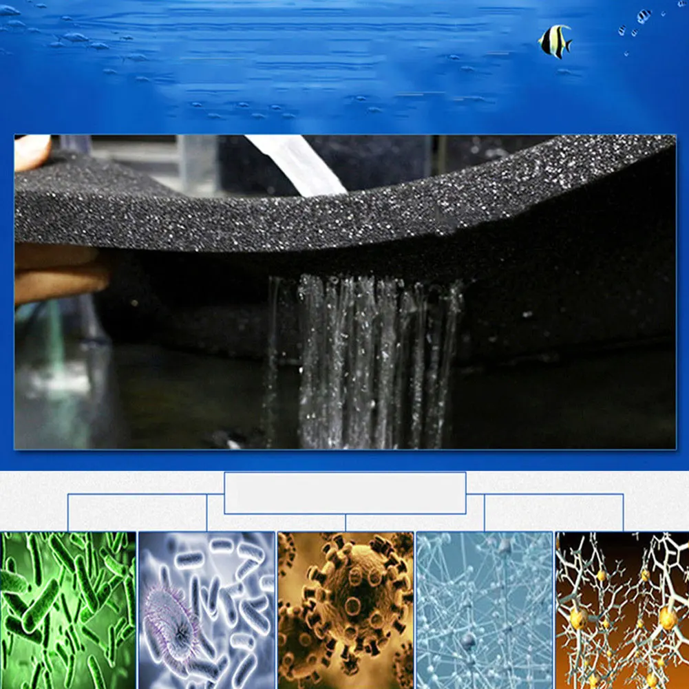 5cm Aquarium Filter Sponge Biochemical Cotton Filter Foam Fish Tank Sponge-Black
5cm Aquarium Filter Sponge Biochemical Cotton Filter Foam Fish Tank Sponge-Black