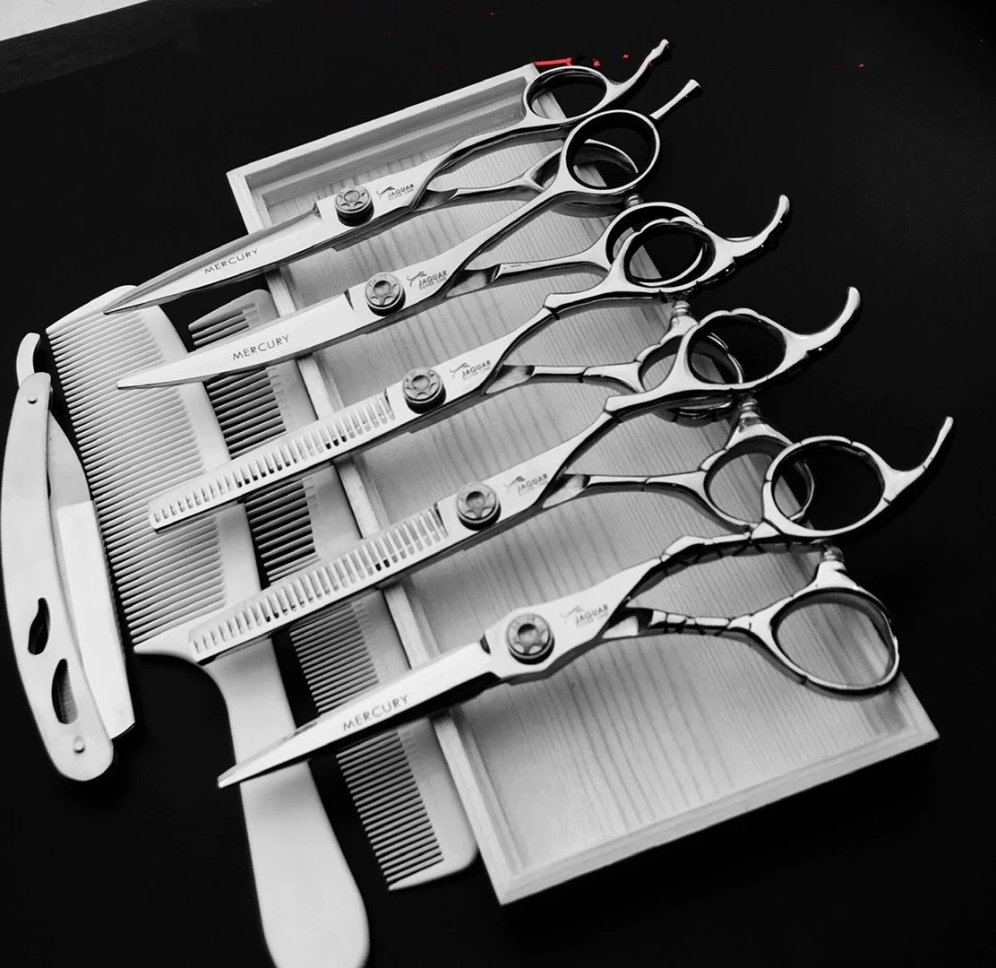 Sharp Blade Professional Hair Scissors Cut Hair Cutting Salon Scissor Makas Barber Shears Hairdressing Scissors Black with Razor
Sharp Blade Professional Hair Scissors Cut Hair Cutting Salon Scissor Makas Barber Shears Hairdressing Scissors Black with Razor