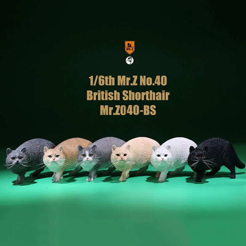 Mr.Z 040-BS 1/6 Scale British Shorthair cat simulation model toy animal model static decoration for 12' action figure acc
Mr.Z 040-BS 1/6 Scale British Shorthair cat simulation model toy animal model static decoration for 12' action figure acc