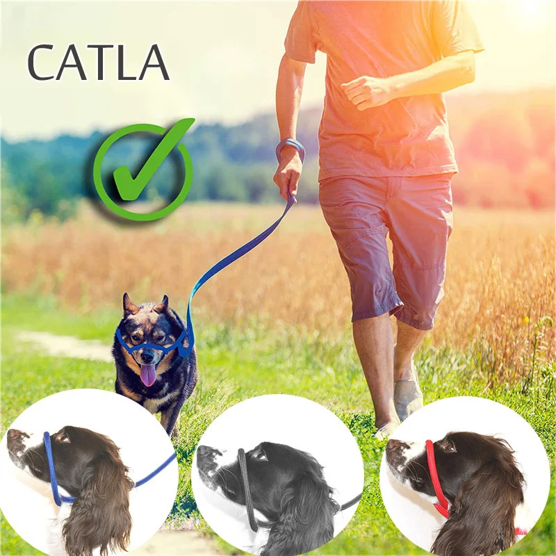 Регулируемый поводок CATLA для собак, нейлоновый ремень на шею, для прогулок с собаками
Регулируемый поводок CATLA для собак, нейлоновый ремень на шею, для прогулок с собаками