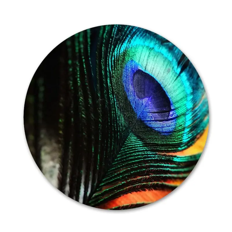 58mm Beautiful Peacock feathers Icons Pins Badge Decoration Brooches Metal Badges For Backpack Decoration
58mm Beautiful Peacock feathers Icons Pins Badge Decoration Brooches Metal Badges For Backpack Decoration
