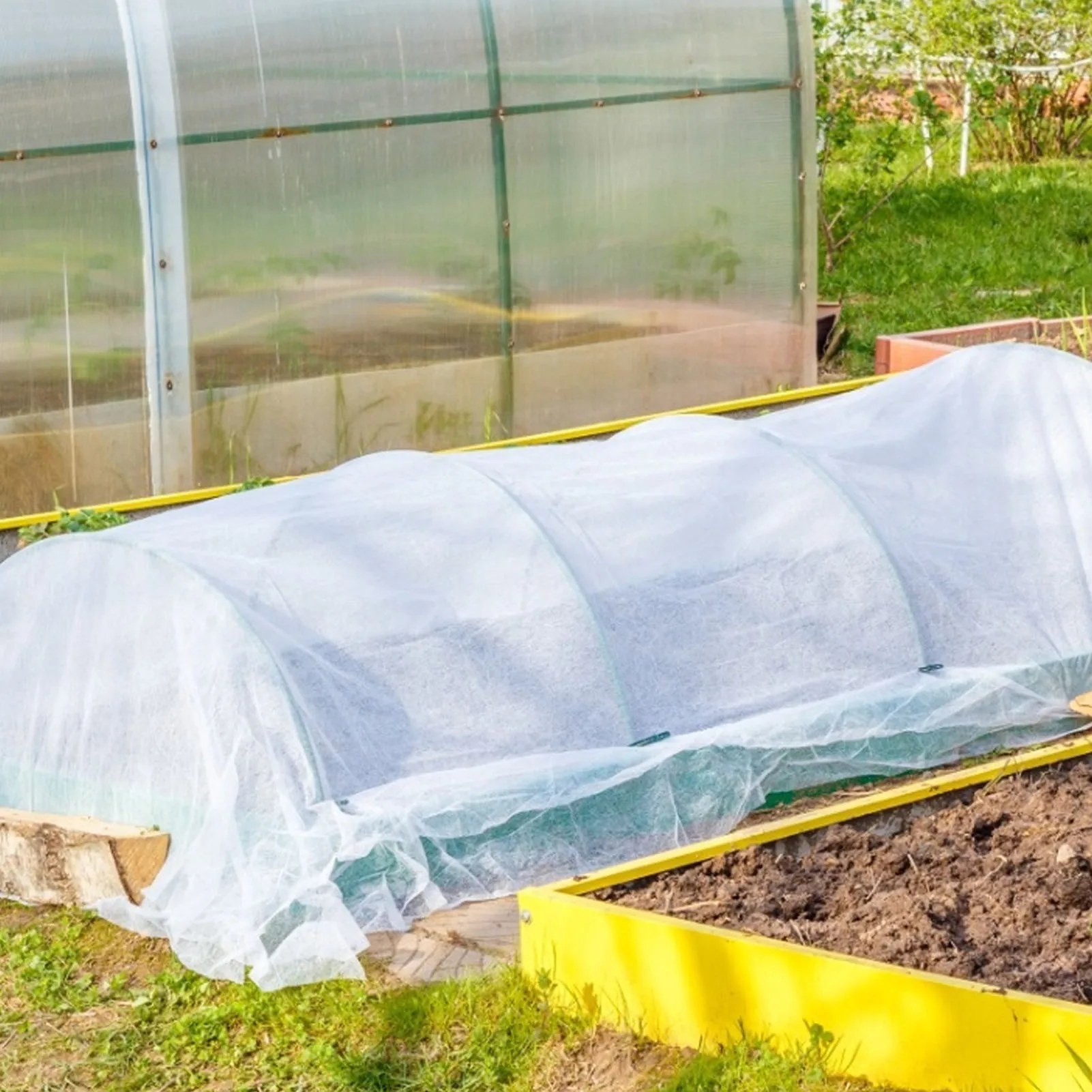 5*30FT Plant Cover Freeze Pest Sun Protection Floating Cover Lightweight and breathable PP non-woven fabric Widely used
5*30FT Plant Cover Freeze Pest Sun Protection Floating Cover Lightweight and breathable PP non-woven fabric Widely used
