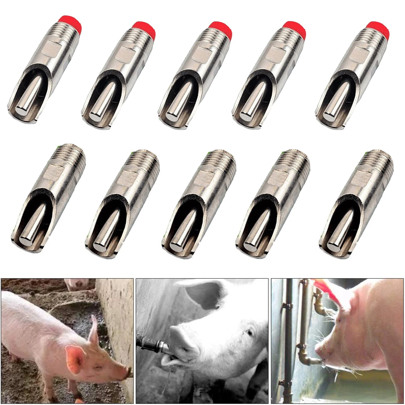 5Pcs Pig Nipple Waterer Hog Nipple Waterer Drinker Feeder 1/2"" NPT Stainless Steel Automatic Pig Nipple For Piglet Sow Drinking
5Pcs Pig Nipple Waterer Hog Nipple Waterer Drinker Feeder 1/2"" NPT Stainless Steel Automatic Pig Nipple For Piglet Sow Drinking
