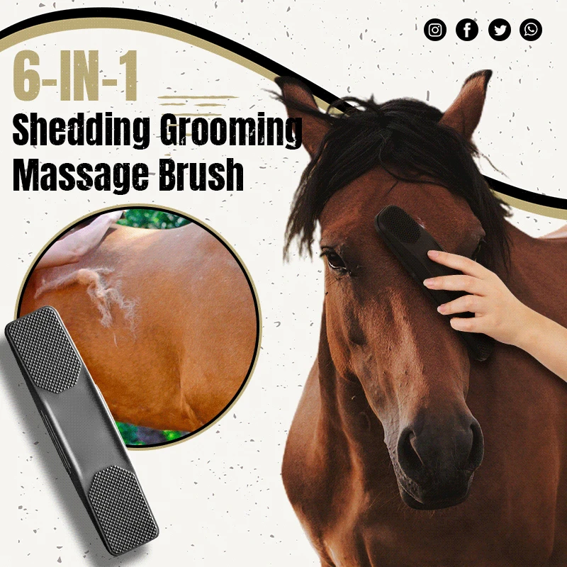 Horses Dogs Grooming Brush 6-In-1 Shedding Grooming Massage Brush Kit Neat Pet Comb Hair Brush Pony Puppy Strip Hair Gentle Cosy
Horses Dogs Grooming Brush 6-In-1 Shedding Grooming Massage Brush Kit Neat Pet Comb Hair Brush Pony Puppy Strip Hair Gentle Cosy