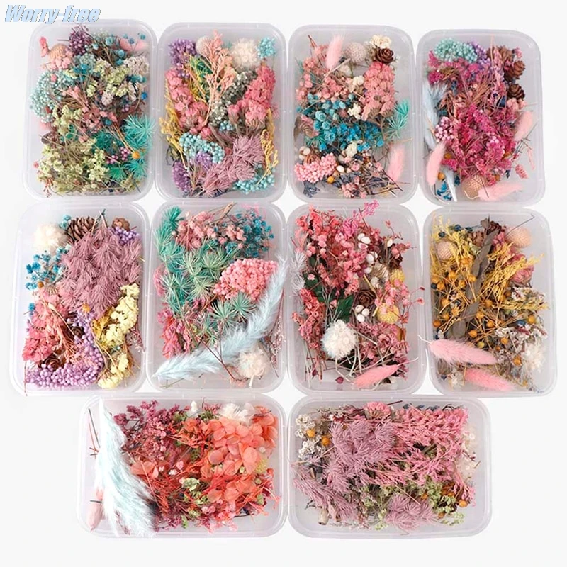HOT Real Dried Flower Dry Plant Home Aromatherapy Candle Resin Christmas Party Wedding Decoration Making Craft DIY Accessories
HOT Real Dried Flower Dry Plant Home Aromatherapy Candle Resin Christmas Party Wedding Decoration Making Craft DIY Accessories