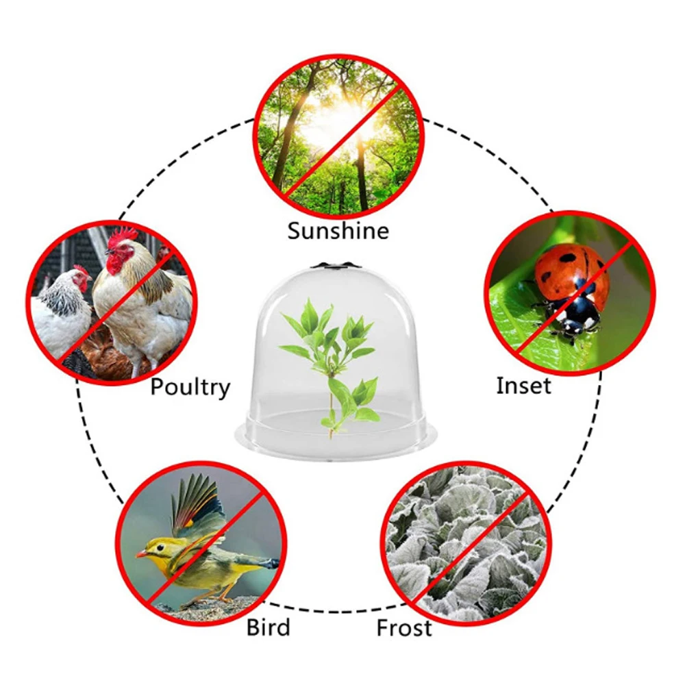 Plant Thermostat Seedling Insulation Cover Plastic Breathable Planting Cover Seedling Maintenance Tools
Plant Thermostat Seedling Insulation Cover Plastic Breathable Planting Cover Seedling Maintenance Tools