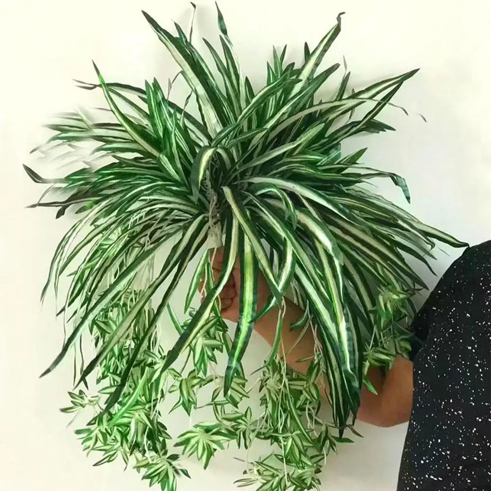 Fashion Artificial Plant 1Pc Artificial Plant Chlorophytum Flower Arrangement Decoration Wedding Decor Plante Artificielle
Fashion Artificial Plant 1Pc Artificial Plant Chlorophytum Flower Arrangement Decoration Wedding Decor Plante Artificielle