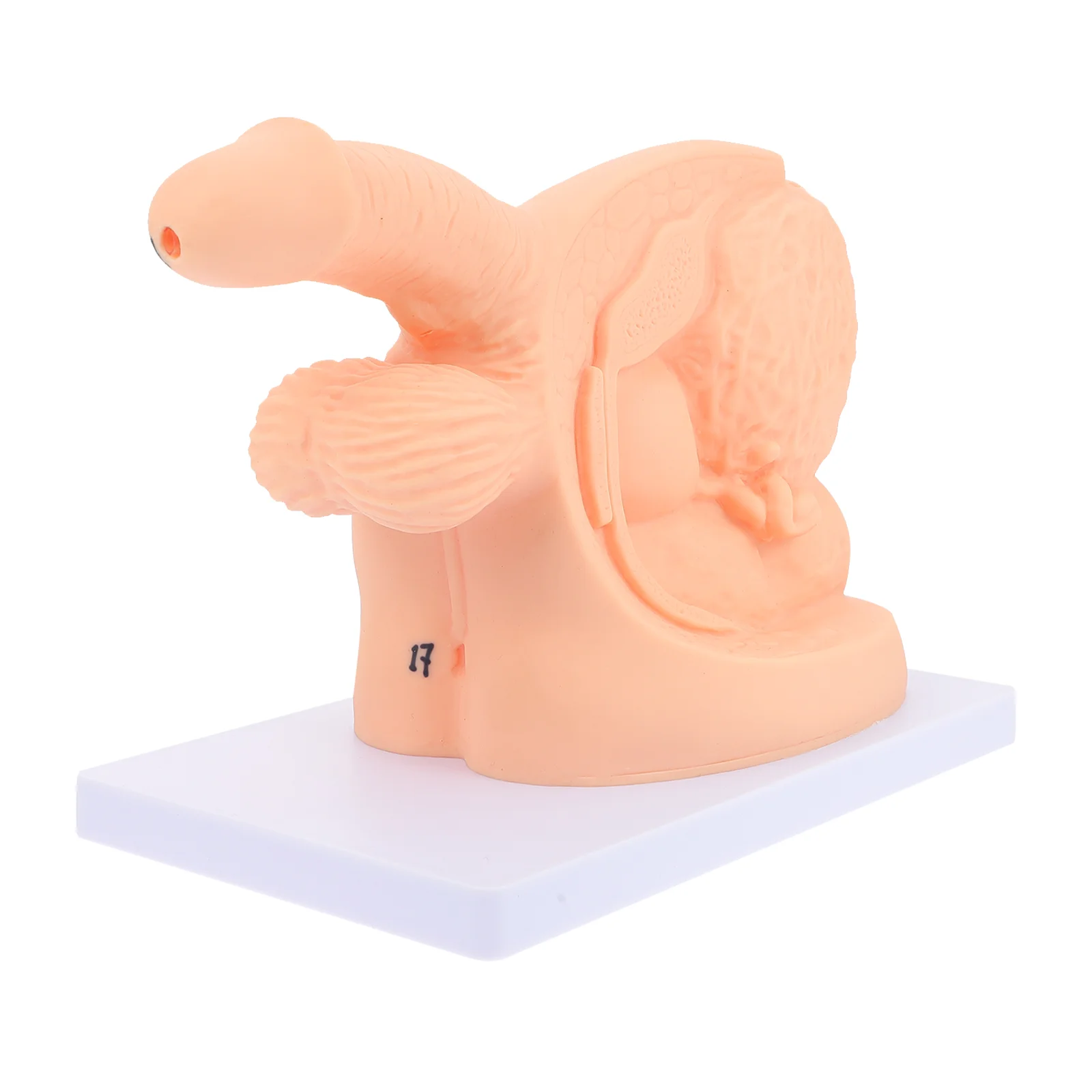 1 шт., Катетеризация для мужчин 
1 шт., Катетеризация для мужчин