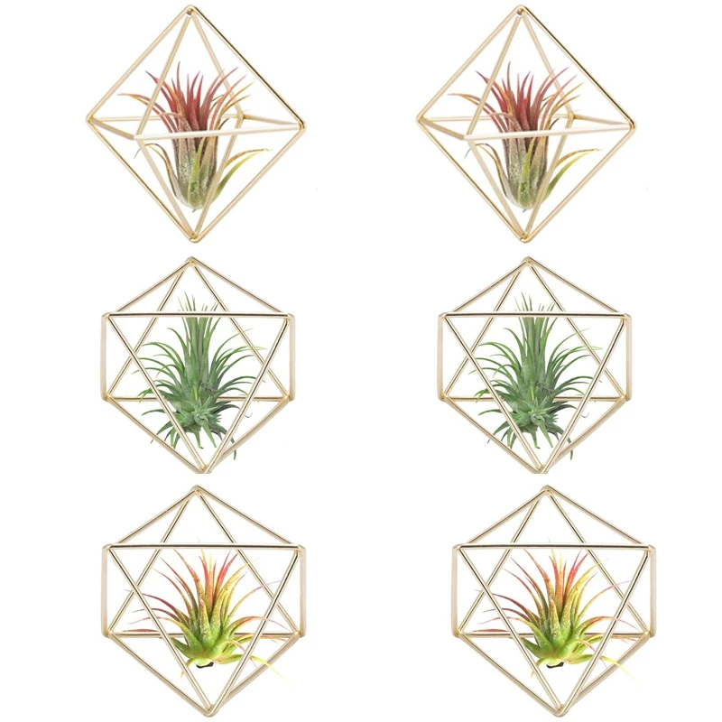 6 Pcs Air Plant Holder Mini Metal Tabletop Decor Modern Geometric Planter Tillandsia Display Stand Himmeli Decor
6 Pcs Air Plant Holder Mini Metal Tabletop Decor Modern Geometric Planter Tillandsia Display Stand Himmeli Decor