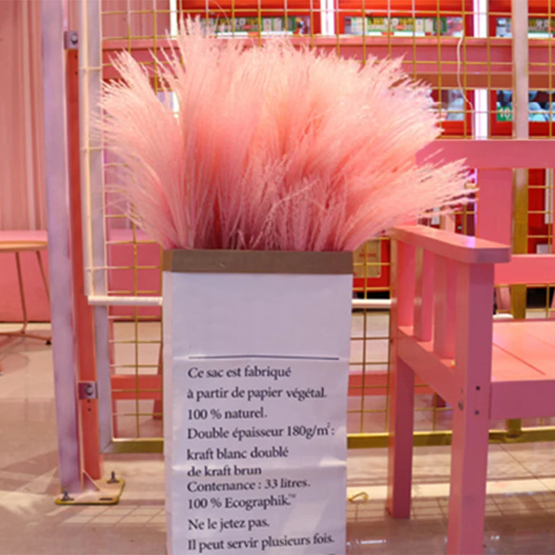 Горячие 10 шт геркон сушеные пампасы Свадебные цветы букет булраш букеты сушеные цветы Рид домашние цветочные композиции DO2 
Горячие 10 шт геркон сушеные пампасы Свадебные цветы букет булраш букеты сушеные цветы Рид домашние цветочные композиции DO2