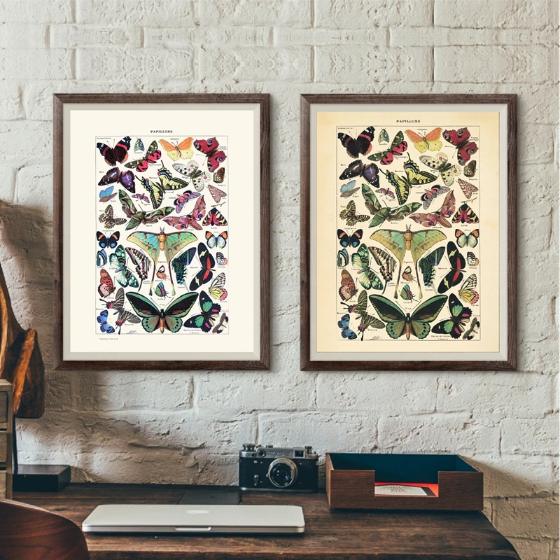 Antique Butterfly Vintage Poster Prints Insect Kind Nature Home Wall Decor Education Wall Art Canvas Painting Picture Kids Room
Antique Butterfly Vintage Poster Prints Insect Kind Nature Home Wall Decor Education Wall Art Canvas Painting Picture Kids Room
