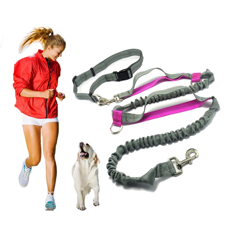 Pet product Dog Leash Running belt Jogging Sport Adjustable Nylon Dog rope With Reflective Strip Pet Accessories Hands Free
Pet product Dog Leash Running belt Jogging Sport Adjustable Nylon Dog rope With Reflective Strip Pet Accessories Hands Free