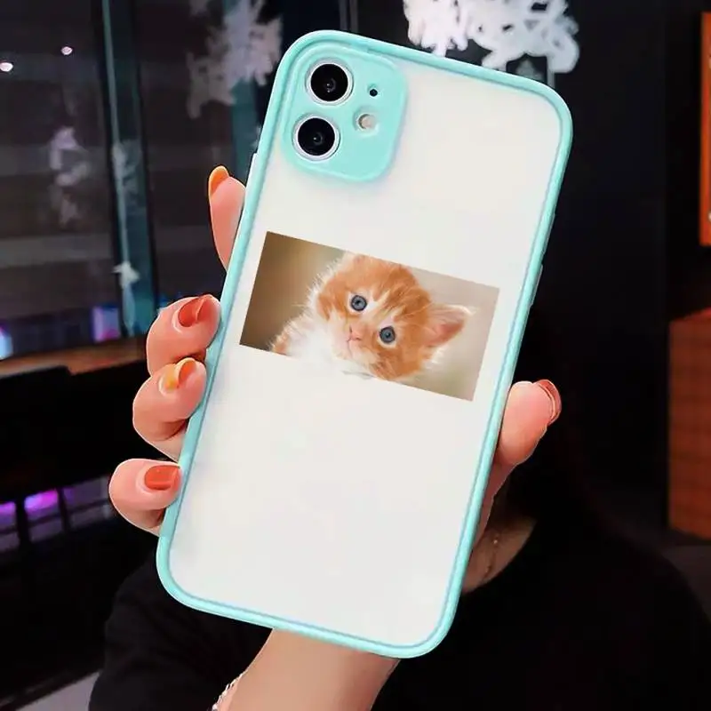Cute Cat Phone Case Clear Funda matte transparent For blue iPhone 7 8 x xs xr 11 12 pro plus max mini
Cute Cat Phone Case Clear Funda matte transparent For blue iPhone 7 8 x xs xr 11 12 pro plus max mini