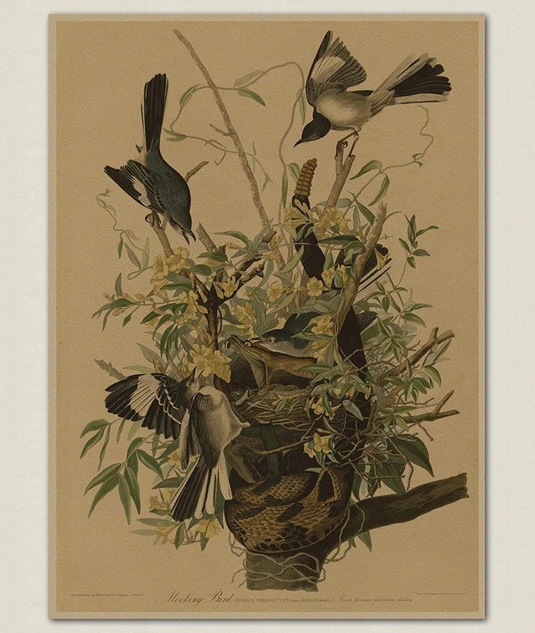 Vintage Bird Canvas Print Audubon Bird Posters Pink Flamingo Snowy Owl Blue Heron White Egret Canvas Painting Wall Art
Vintage Bird Canvas Print Audubon Bird Posters Pink Flamingo Snowy Owl Blue Heron White Egret Canvas Painting Wall Art