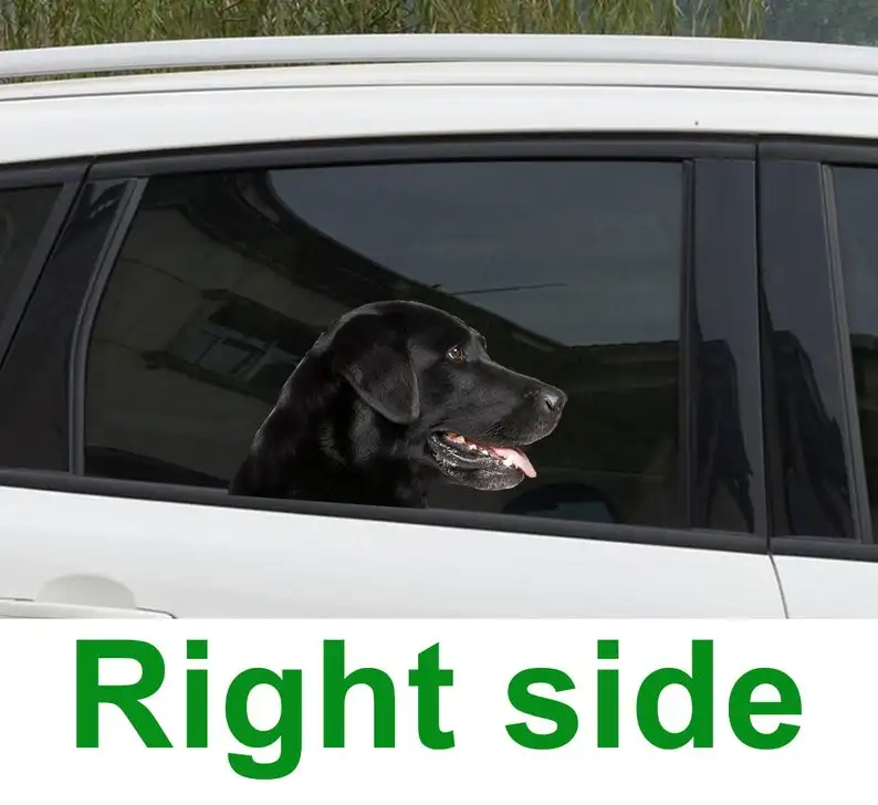 2021 Black lab car window sticker , 3D sticker, funny sticker, Black lab decal