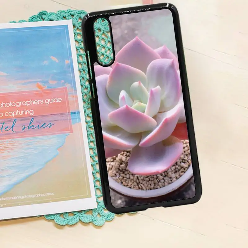 Succulents plants leaf flowers Anti-fall shell Phone Case PC for iPhone 11 12 pro XS MAX 8 7 6 6S Plus X 5S SE 2020 XR
Succulents plants leaf flowers Anti-fall shell Phone Case PC for iPhone 11 12 pro XS MAX 8 7 6 6S Plus X 5S SE 2020 XR