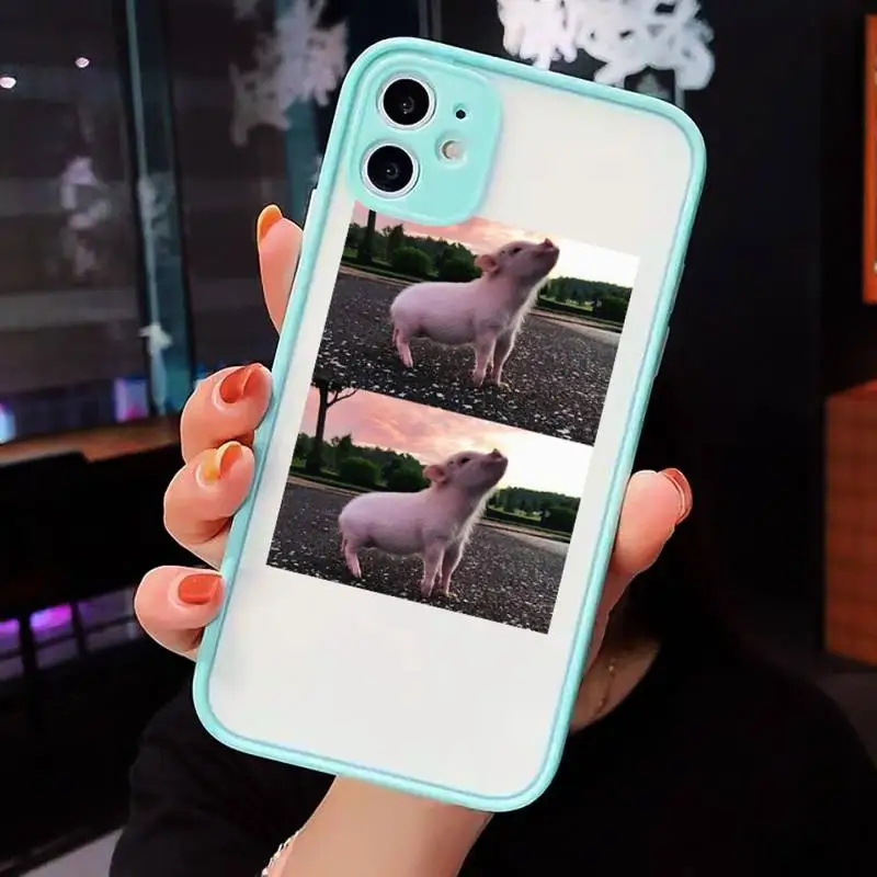 Pet Cute Little Pig Lovely animal Phone Case Clear Funda matte transparent For blue iPhone 7 8 x xs xr 11 12 pro plus max mini
Pet Cute Little Pig Lovely animal Phone Case Clear Funda matte transparent For blue iPhone 7 8 x xs xr 11 12 pro plus max mini